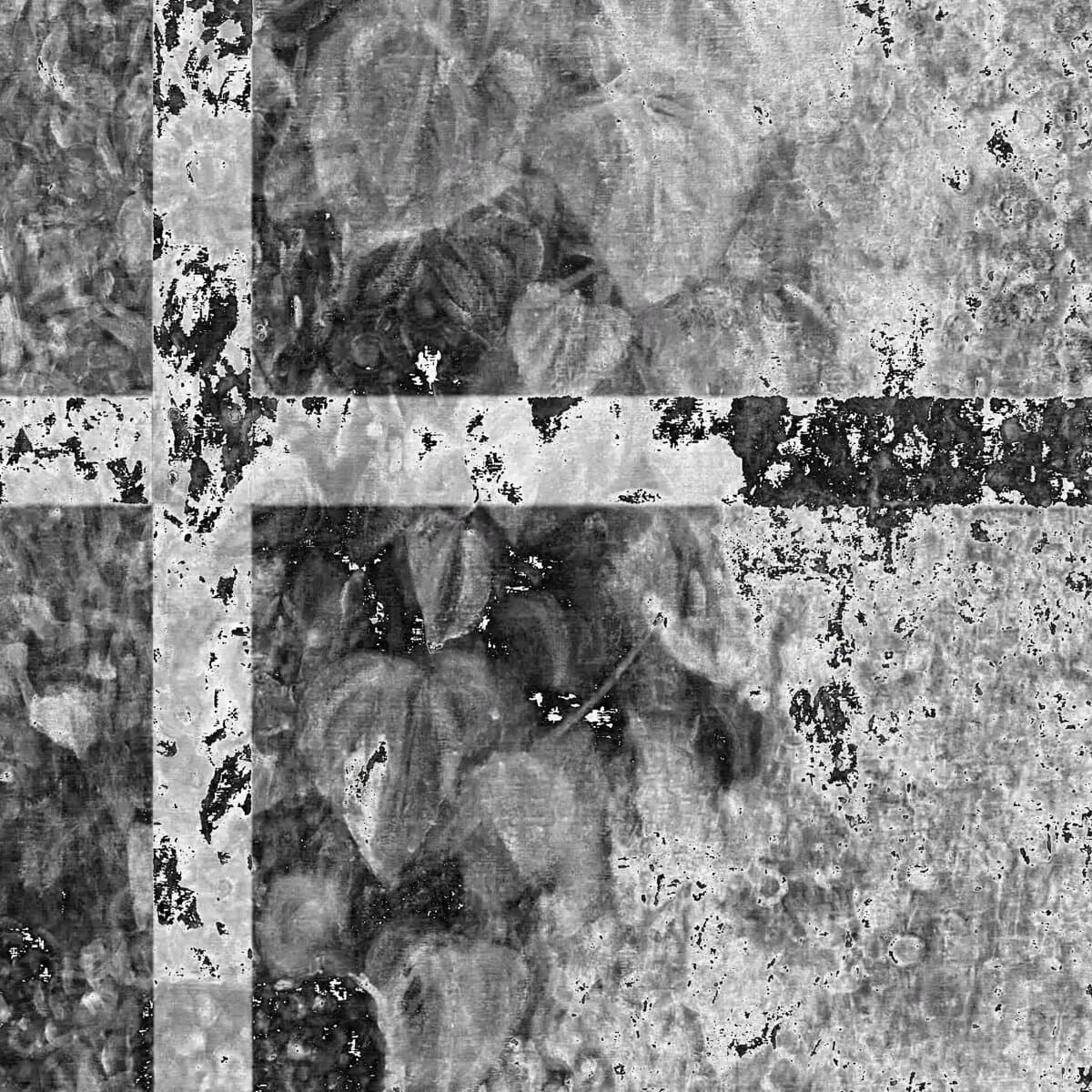 Project Viewfinder image 1